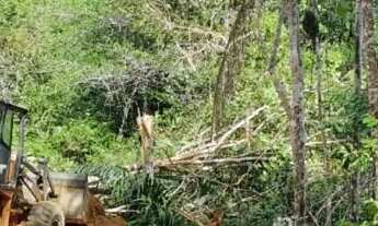 Imagem 5: Vendemos Terreno na MARGEM da Rodovia AM-070/Estrada de Manacapurú, Km 18 com 553.500m2. D