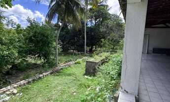 Imagem 5: Chacará espaçosa no Bairro Guarapes