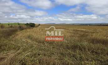 Imagem 2: Fazenda 116 alqueires (561 hectares) Paraúna - GO