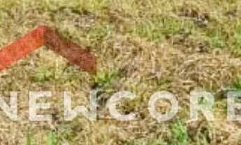 Imagem 4: Lote em Rua Capitão Vasconi - Vila Santa Terezinha - Pirassununga/SP