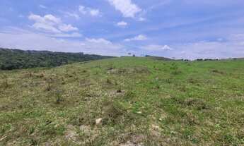 Imagem 3: Fazenda de 277 hectares