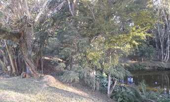 Imagem 2: Chácara em Mandirituba Com tanque