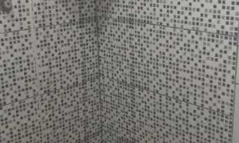 Imagem 4: Vendo três casas no mesmo quintal