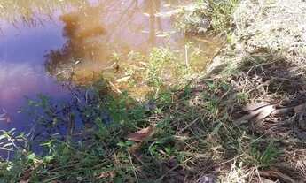 Imagem 2: Sítio com 3,5 alqueires na região do Xuri