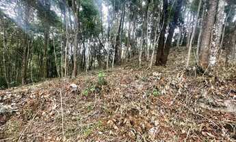 Imagem 3: Chácara 1000m2 oportunidade