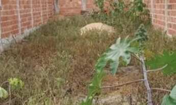 Imagem 4: Ótima oportunidade de compra terreno 6x26 metros