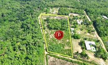 Imagem 4: Terreno com 6.000m² na Avenida Cláudio Mesquita, Tarumã-Açu