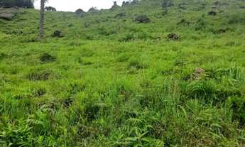 Imagem 7: Área Rural com 50ha