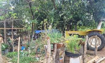 Imagem 2: Fazenda 81 uma hectares e meia valor 420.000