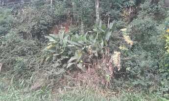 Imagem 4: Terreno à venda em Roseira - SP