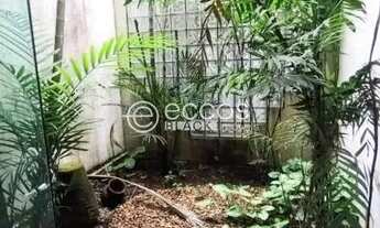 Imagem 3: Sala comercial para aluguel, Fundinho - Uberlândia/MG