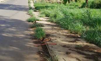 Imagem 2: LOTES A VENDA SETOR COLONIAL SUL