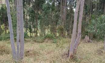 Imagem 3: OPORTUNIDADE. Chácaras 3000 m², Bairro rural Cachoeira Paulista SP