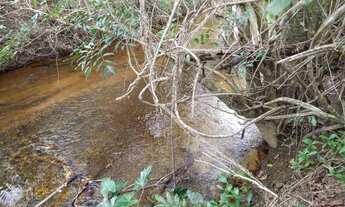 Imagem 6: Sítio maravilhoso na beira do ribeirão