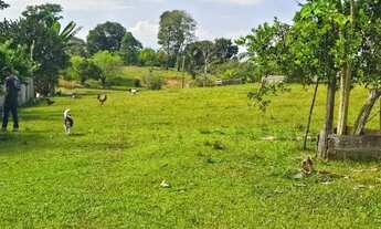 Imagem 5: Fazenda 1.500 x 2.000 Autazes 1.103.000