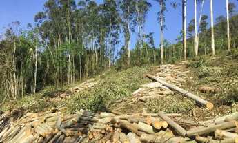 Imagem 2: Area - Bairro Arroio Paixão