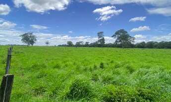 Imagem 2: Fazenda arrendamento 1.600hec em Poconé MT