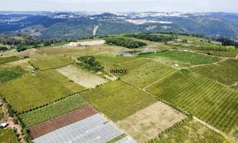 Imagem 6: INBOX CIA IMOBILILIÁRIA VENDE EM PINTO BANDEIRA - Área de terras com quatro hectares em Pi