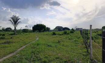 Imagem 6: Vende-se uma fazenda ?