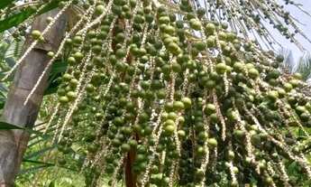 Imagem 6: Vendo ou troco por casa