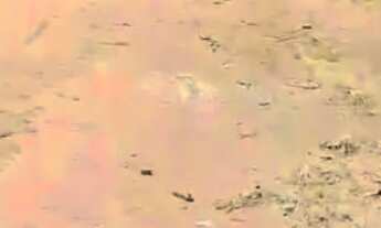 Imagem 3: Vende-se Terreno na Ilha da Croa, praticamente à beira Mar