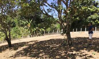 Imagem 3: Terreno em Mulungu