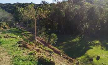 Imagem 5: Imóvel para venda tem 190000 metros quadrados com 5 quartos em Matulão - Tijucas do Sul