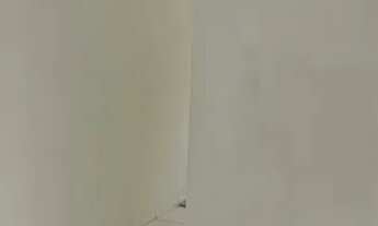 Imagem 5: Apto parque ville municipal alugo