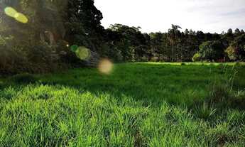Imagem 5: Lote em Rua dos Expedicionários - Sousas - Campinas/SP