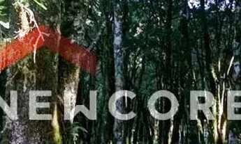 Imagem: Lote em condomínio em ERS 466 - Sinoserra