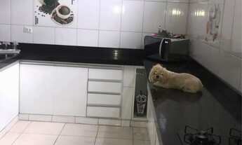 Imagem 2: Aluga-se Casa com 3 dormitórios