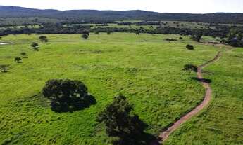 Imagem 2: Fazenda c/ 2.097he e 1.450he formados, 6km da BR, Jangada-MT