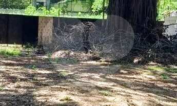 Imagem 3: Terreno à venda em Vila Hamburguesa - SP