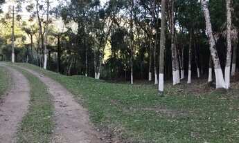 Imagem 7: Imóvel para venda tem 190000 metros quadrados com 5 quartos em Matulão - Tijucas do Sul