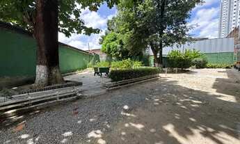 Imagem 5: WSJ4326] VÁRZEA