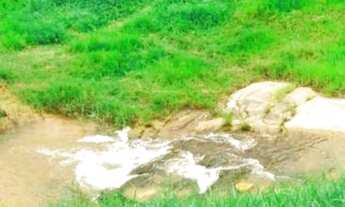 Imagem 6: Linda fazenda com 200 mil metros com nascente poço de peixe leia o anuncio