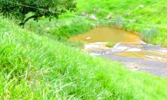 Imagem 7: Linda fazenda com 200 mil metros com nascente poço de peixe leia o anuncio