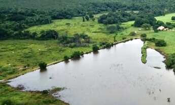 Imagem 3: Fazenda em Talismã - TO com 268 alqueires