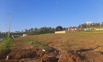 Imagem 4: Lote com localização privilegiada e ótima topografia