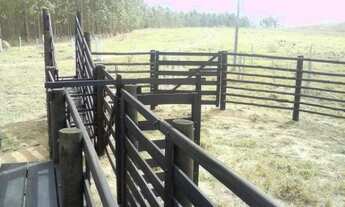 Imagem 7: Excelente fazenda em Presidente Olegário/MG- oportunidade