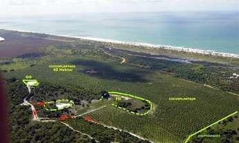 Imagem: Área Frontal 650000 m² em Barra do Itariri