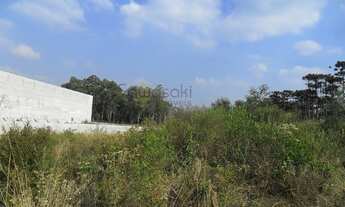Imagem 3: Terreno para Venda em Guatupê São José dos Pinhais-PR