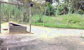 Imagem 2: Terreno com uma casa de madeira