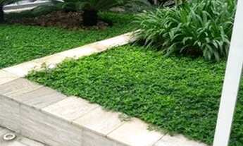 Imagem 7: Apartamento Venda 3 Dormitórios - 108 m² Jardim Paulista