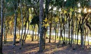 Imagem 6: Chácara para Venda