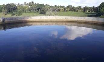 Imagem 7: Fazenda 45 hectares em Conde