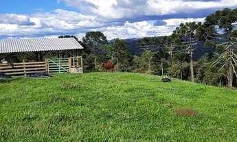 Imagem 2: Imóvel Rural/Terreno em Urubici