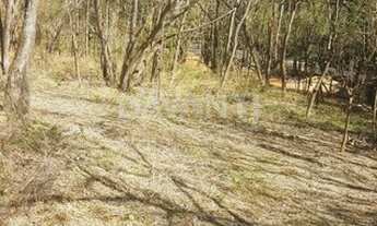 Imagem 6: Terreno - Joaquim Egídio - Campinas