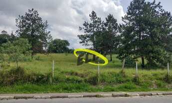 Imagem 2: Área, 6084 m² - venda por R$ 7.500.000,00 ou aluguel por R$ 7.500,00/mês - Chácara Ondas V