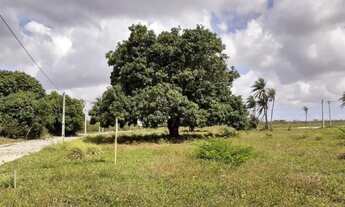 Imagem 3: GS- Loteamento Reserva Camará a 7 km do Centro de Eusébio! Condomínio Fechado146ITP6